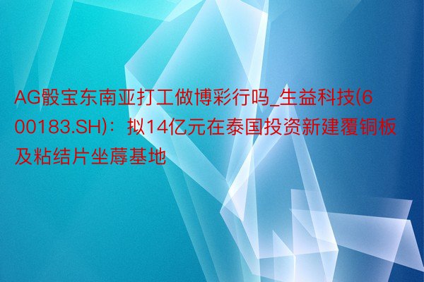 AG骰宝东南亚打工做博彩行吗_生益科技(600183.SH)：拟14亿元在泰国投资新建覆铜板及粘结片坐蓐基地