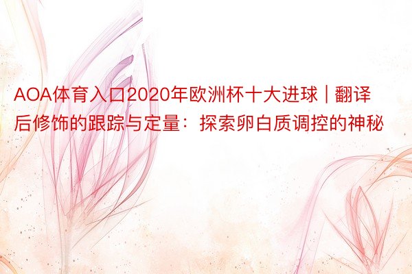 AOA体育入口2020年欧洲杯十大进球 | 翻译后修饰的跟踪与定量：探索卵白质调控的神秘
