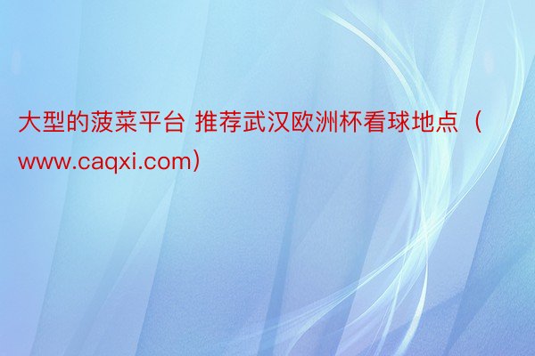 大型的菠菜平台 推荐武汉欧洲杯看球地点（www.caqxi.com）