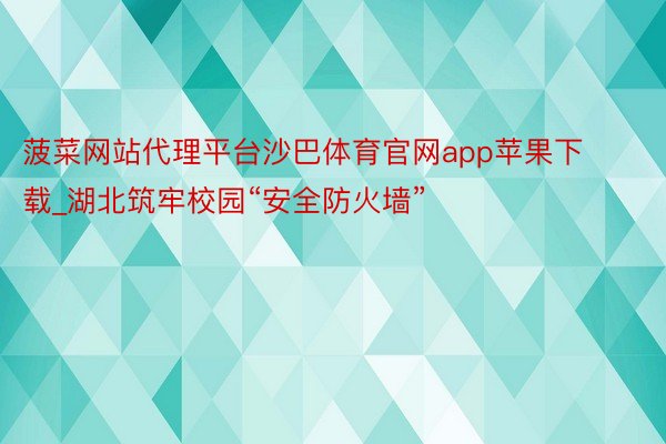 菠菜网站代理平台沙巴体育官网app苹果下载_湖北筑牢校园“安全防火墙”