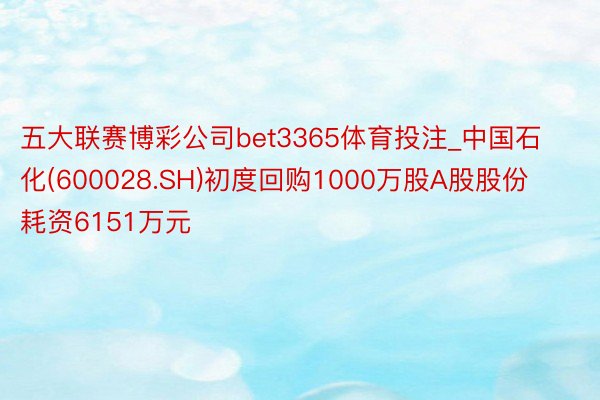 五大联赛博彩公司bet3365体育投注_中国石化(600028.SH)初度回购1000万股A股股份 耗资6151万元