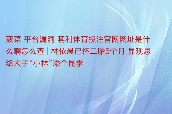 菠菜 平台漏洞 套利体育投注官网网址是什么啊怎么查 | 林依晨已怀二胎5个月 显现思给犬子“小林”添个昆季